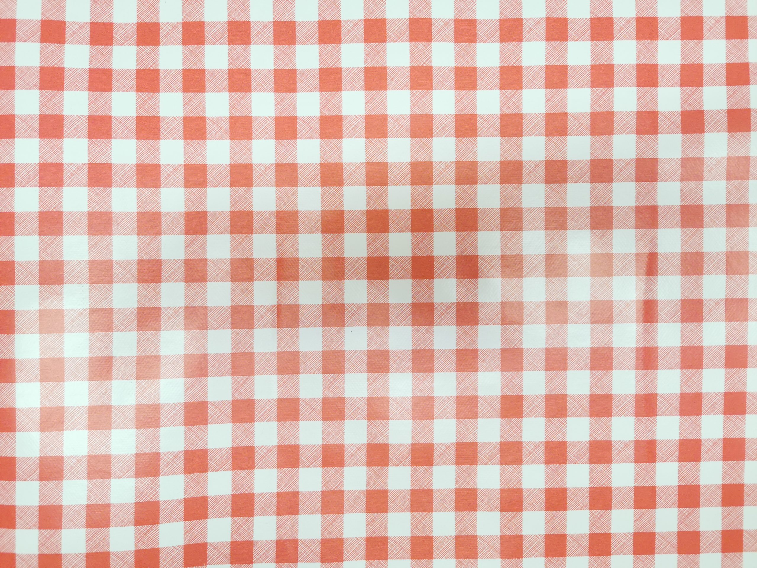 Small Red Gingham Check