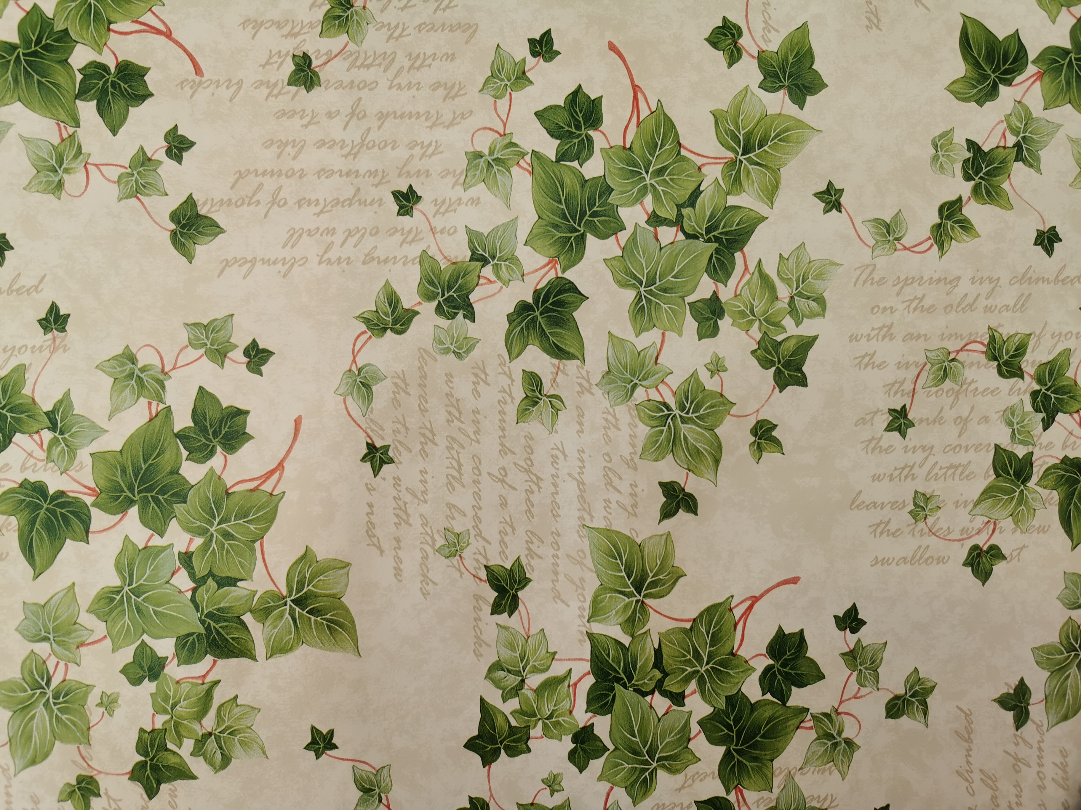 IVY